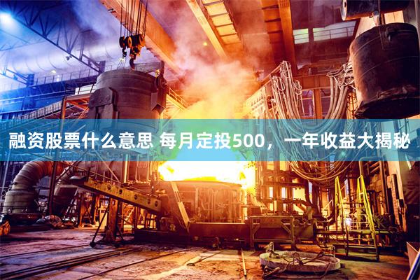 融资股票什么意思 每月定投500，一年收益大揭秘