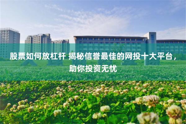 股票如何放杠杆 揭秘信誉最佳的网投十大平台，助你投资无忧