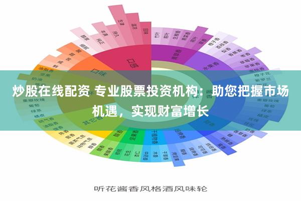 炒股在线配资 专业股票投资机构：助您把握市场机遇，实现财富增长