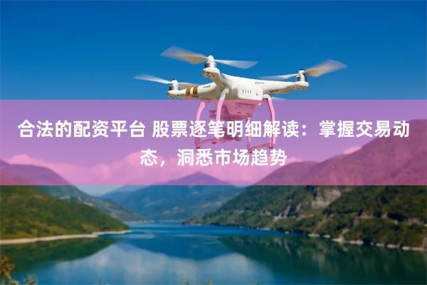 合法的配资平台 股票逐笔明细解读：掌握交易动态，洞悉市场趋势