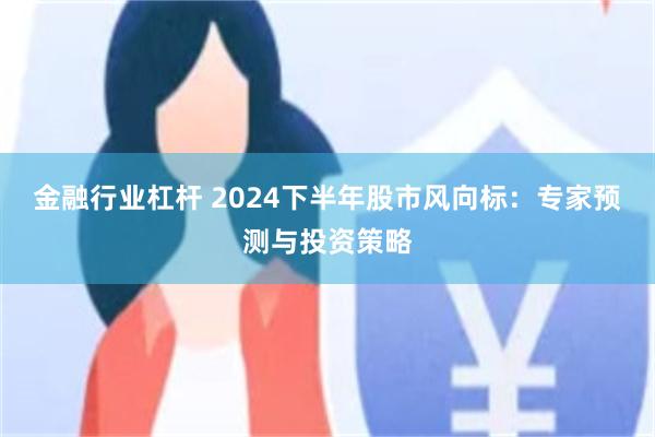金融行业杠杆 2024下半年股市风向标：专家预测与投资策略