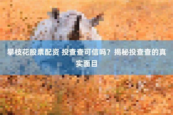 攀枝花股票配资 投查查可信吗？揭秘投查查的真实面目