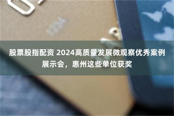 股票股指配资 2024高质量发展微观察优秀案例展示会，惠州这些单位获奖