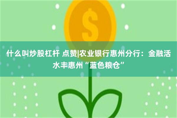 什么叫炒股杠杆 点赞|农业银行惠州分行：金融活水丰惠州“蓝色粮仓”