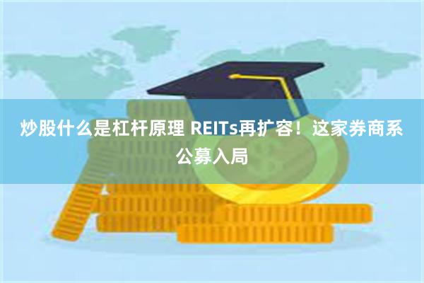 炒股什么是杠杆原理 REITs再扩容！这家券商系公募入局