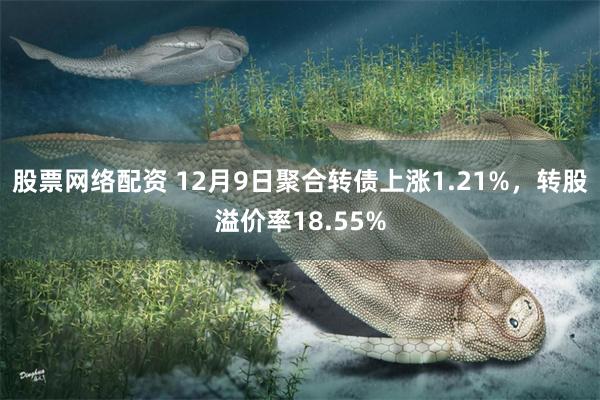 股票网络配资 12月9日聚合转债上涨1.21%，转股溢价率18.55%