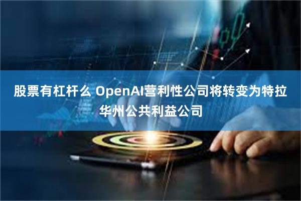 股票有杠杆么 OpenAI营利性公司将转变为特拉华州公共利益公司