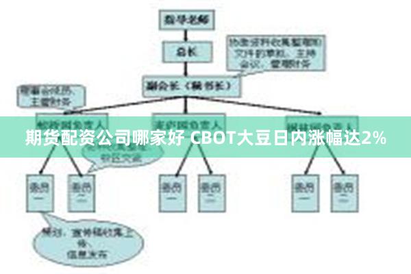期货配资公司哪家好 CBOT大豆日内涨幅达2%
