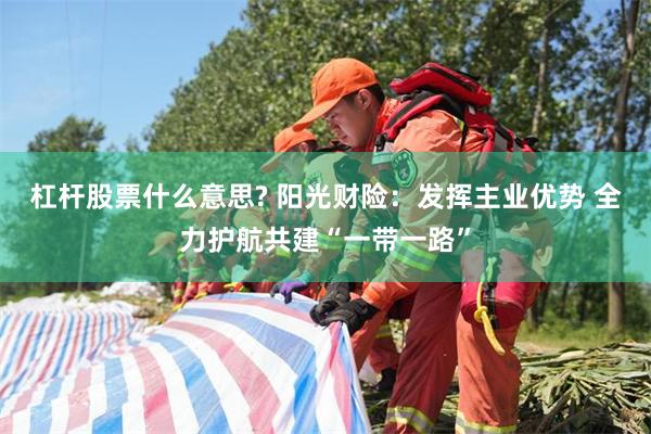 杠杆股票什么意思? 阳光财险：发挥主业优势 全力护航共建“一带一路”