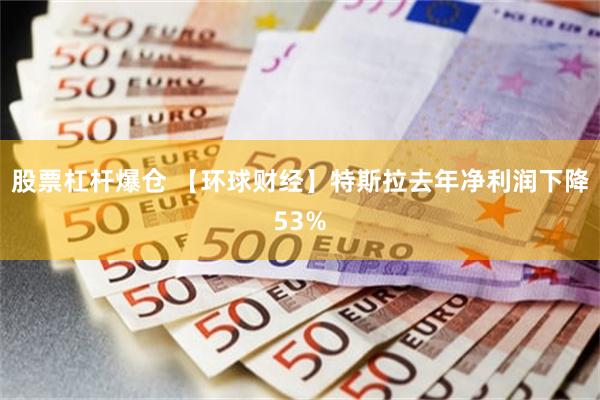 股票杠杆爆仓 【环球财经】特斯拉去年净利润下降53%