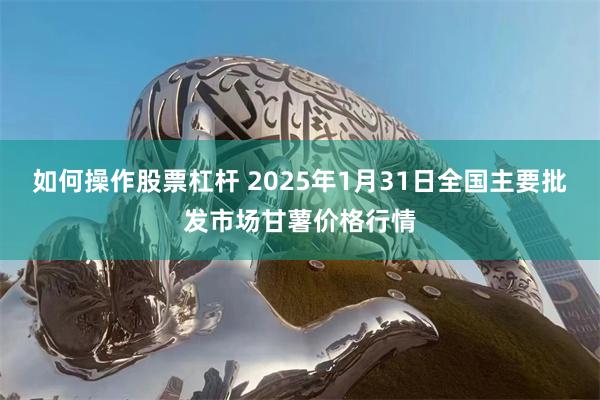 如何操作股票杠杆 2025年1月31日全国主要批发市场甘薯价格行情