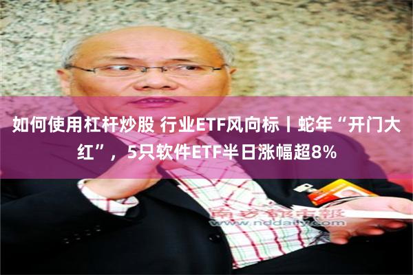 如何使用杠杆炒股 行业ETF风向标丨蛇年“开门大红”，5只软件ETF半日涨幅超8%