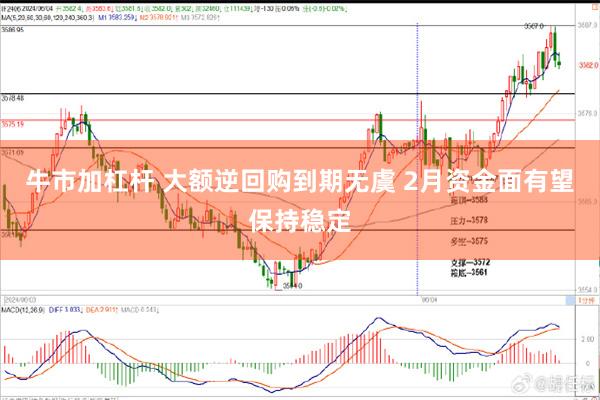 牛市加杠杆 大额逆回购到期无虞 2月资金面有望保持稳定