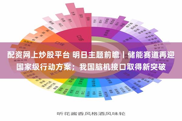 配资网上炒股平台 明日主题前瞻丨储能赛道再迎国家级行动方案；我国脑机接口取得新突破