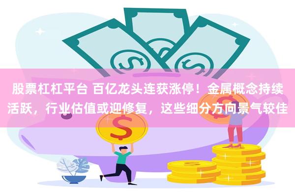 股票杠杠平台 百亿龙头连获涨停！金属概念持续活跃，行业估值或迎修复，这些细分方向景气较佳