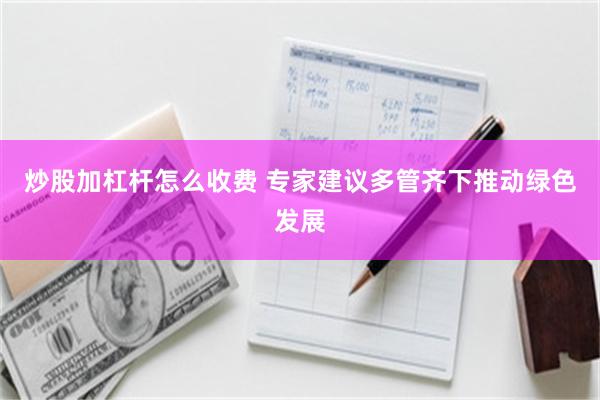 炒股加杠杆怎么收费 专家建议多管齐下推动绿色发展