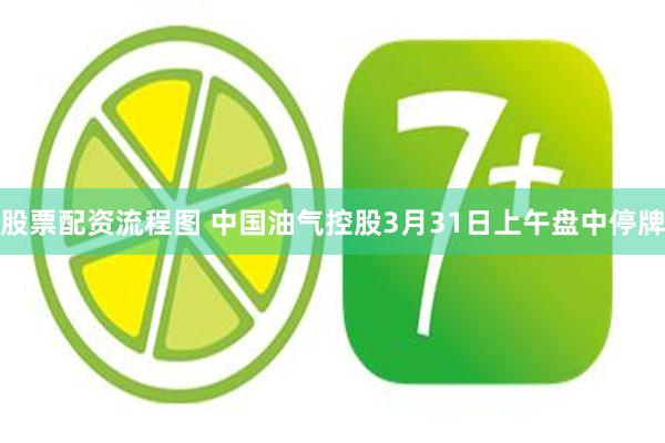 股票配资流程图 中国油气控股3月31日上午盘中停牌
