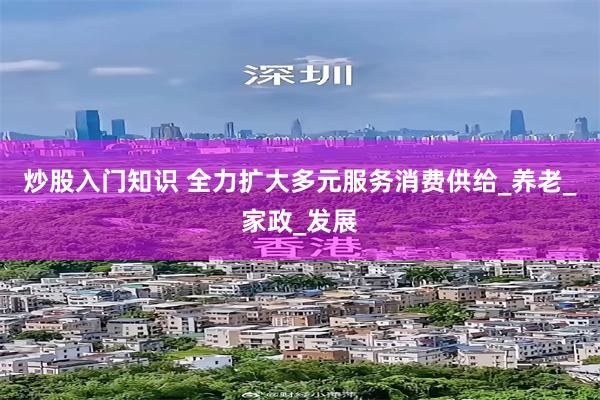 炒股入门知识 全力扩大多元服务消费供给_养老_家政_发展