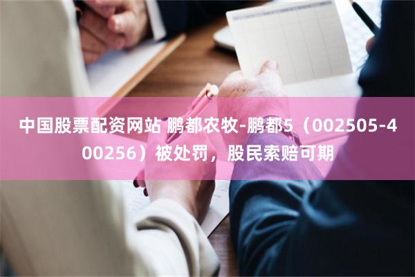 中国股票配资网站 鹏都农牧-鹏都5（002505-400256）被处罚，股民索赔可期