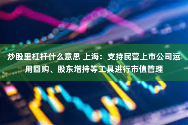 炒股里杠杆什么意思 上海：支持民营上市公司运用回购、股东增持等工具进行市值管理