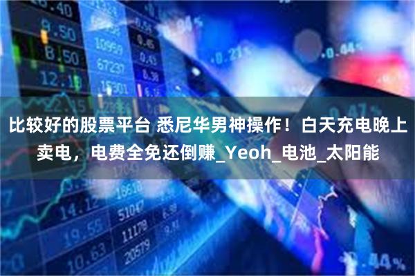 比较好的股票平台 悉尼华男神操作！白天充电晚上卖电，电费全免还倒赚_Yeoh_电池_太阳能