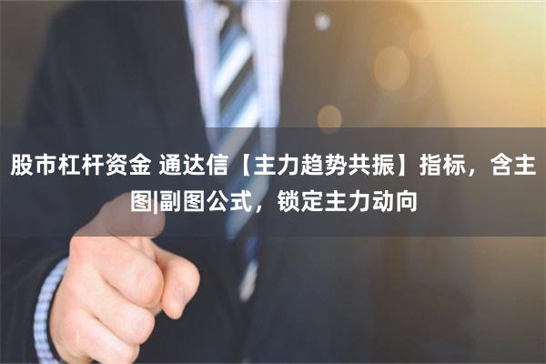 股市杠杆资金 通达信【主力趋势共振】指标，含主图|副图公式，锁定主力动向