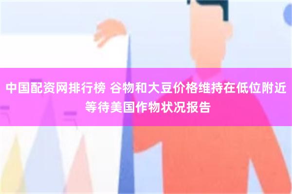 中国配资网排行榜 谷物和大豆价格维持在低位附近 等待美国作物状况报告