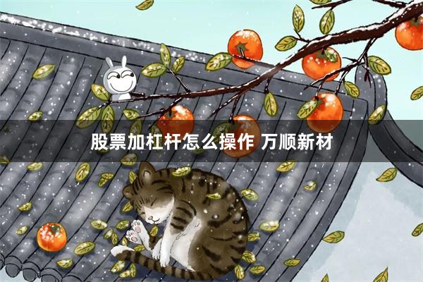 股票加杠杆怎么操作 万顺新材