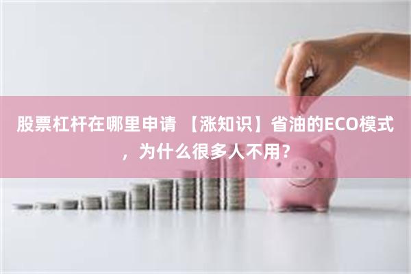 股票杠杆在哪里申请 【涨知识】省油的ECO模式，为什么很多人不用？