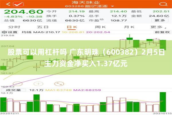 股票可以用杠杆吗 广东明珠（600382）2月5日主力资金净买入1.37亿元