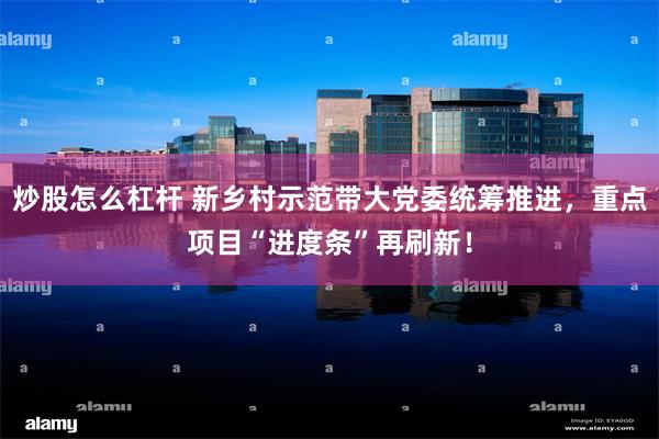 炒股怎么杠杆 新乡村示范带大党委统筹推进，重点项目“进度条”再刷新！