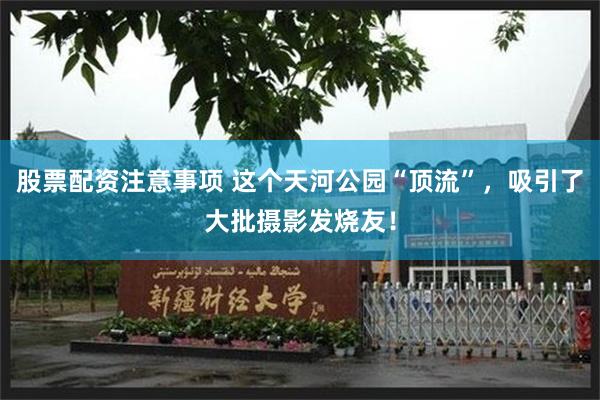 股票配资注意事项 这个天河公园“顶流”，吸引了大批摄影发烧友！