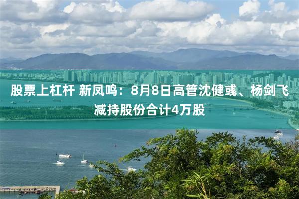 股票上杠杆 新凤鸣：8月8日高管沈健彧、杨剑飞减持股份合计4万股