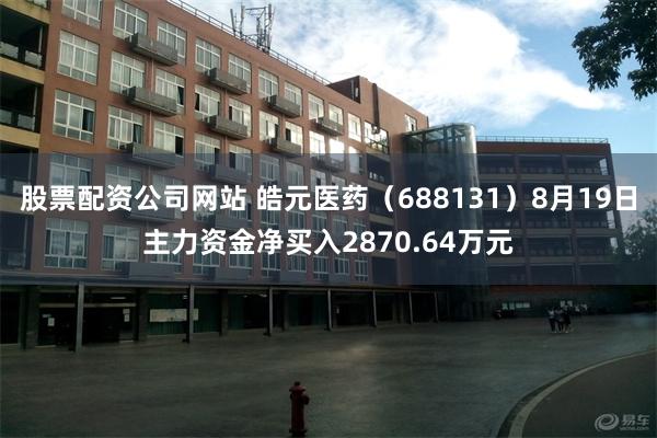 股票配资公司网站 皓元医药（688131）8月19日主力资金净买入2870.64万元