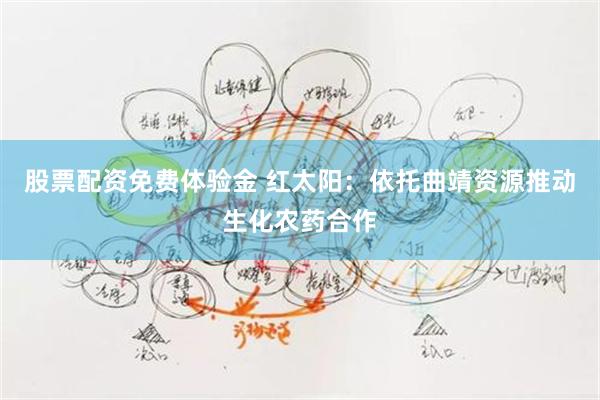 股票配资免费体验金 红太阳：依托曲靖资源推动生化农药合作